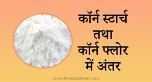 (कॉर्न फ्लोर) Cornflour kya hota hai | Corn flour meaning in hindi