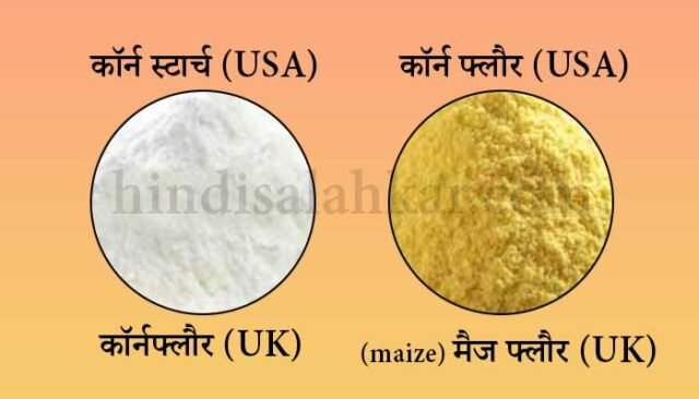 (कॉर्न फ्लोर) Cornflour kya hota hai | Corn flour meaning in hindi