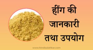 [Top 7] Hing khane se kya hota hai | हींग कैसे बनती है ? - HINDI SALAHKAR