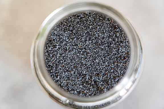 Poppy seeds in hindi