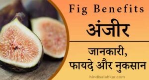 Anjeer kya hota hai | अंजीर के फायदे और नुकसान | Anjeer khane ke fayde