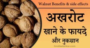 अखरोट खाने के फायदे और नुकसान | Akhrot khane ke fayde : Walnut benefits